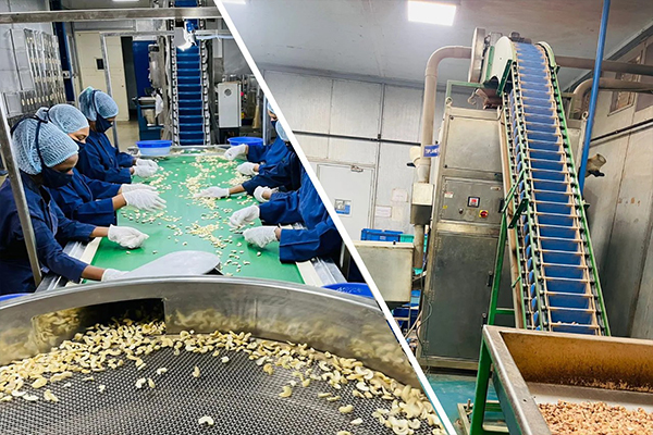 Dry Fruit Processing Industries