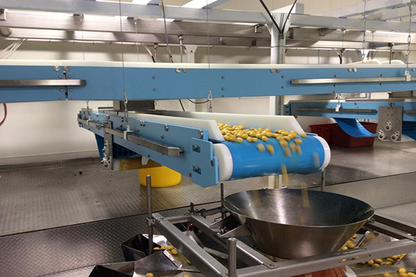 Food Processing Units